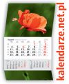 kalendarze.net.pl