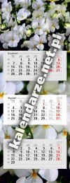 Kalendarze trójdzielne kwiaty